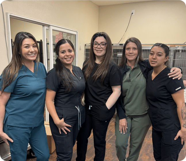 Home - AllCreatures vc