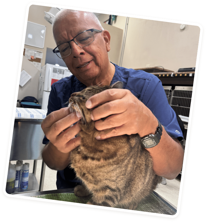 Home - AllCreatures vc