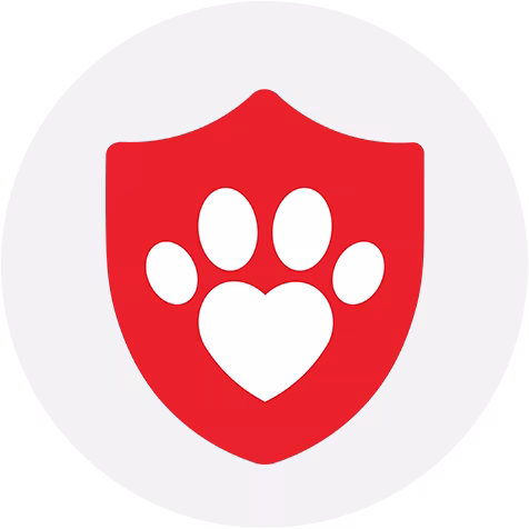 AV Veterinary Center Team - AllCreatures vc