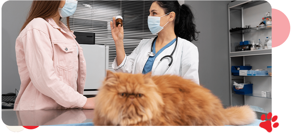 Wellness Care/Checkups - All Creatures Veterinary Center
