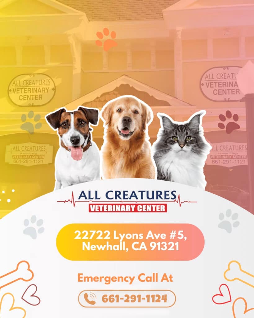 AV Emergency & Trauma Care - AllCreatures vc